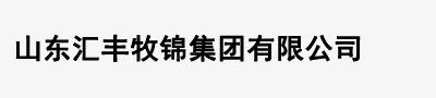��ݸ����������